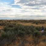 OTRA2013_1165 (July 15, 2013)